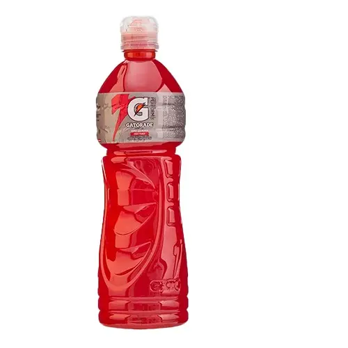 GATORADE FRUIT PUNCH 1 LITRO