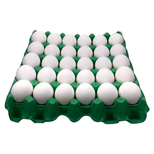 CARTON DE HUEVOS BLANCOS